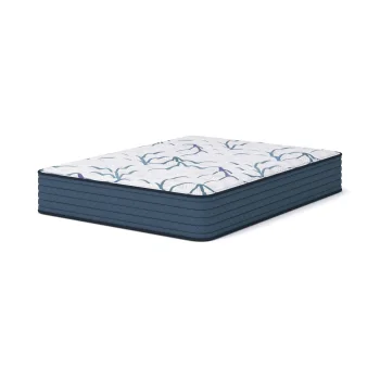Limited Edition Firm 3.0 Queen Mattress